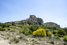 France-Provence-Provence Hills & Wine